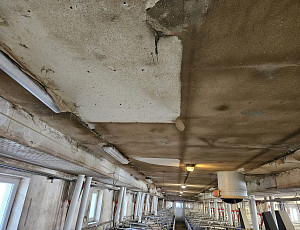 Oprava podhledu stáje chovu prasat